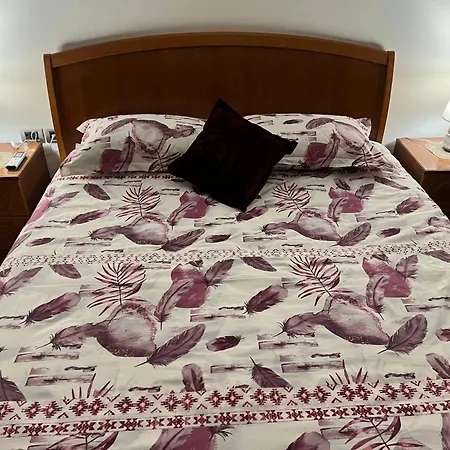 Whole Flat Near Lake Shkodra